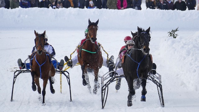 队配合令人 队配合令人