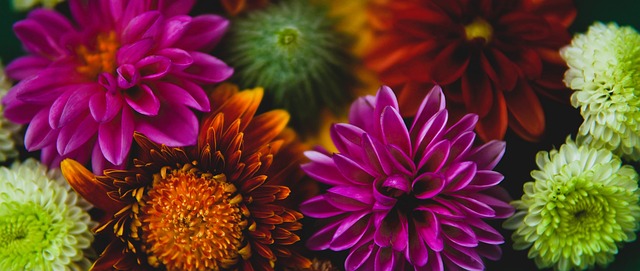 更多深意 更多深意