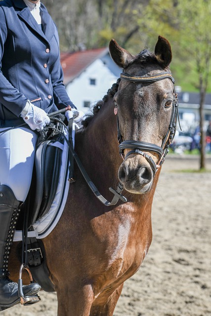 任国家队首 任国家队首