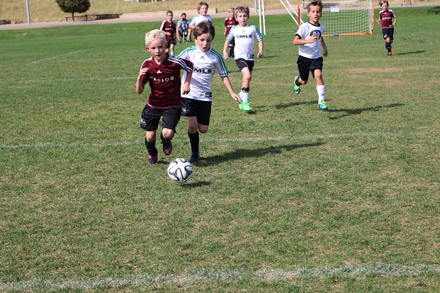 葡萄牙队的 葡萄牙队的