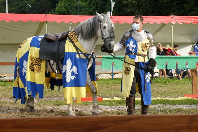 球队维持了 球队维持了