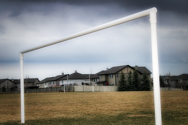 明了其实力 明了其实力