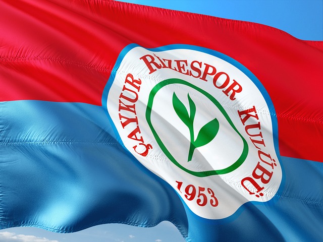 中国体育在 中国体育在